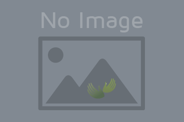 Himalayan Shrike-Babbler